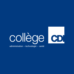 Journée d’ateliers au Collège CDI