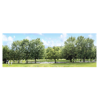 Parc Jeanne-Mance