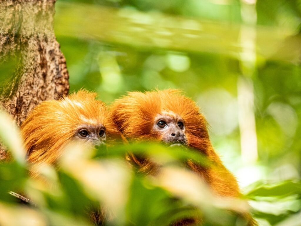 Biodôme de Montréal
