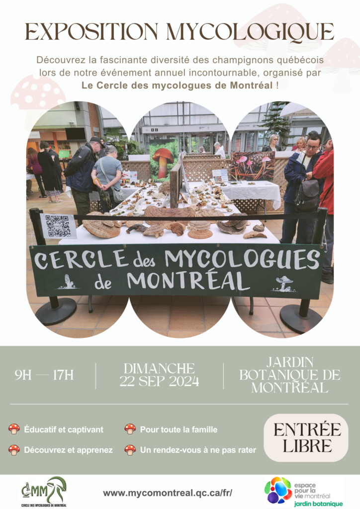 Exposition Mycologique