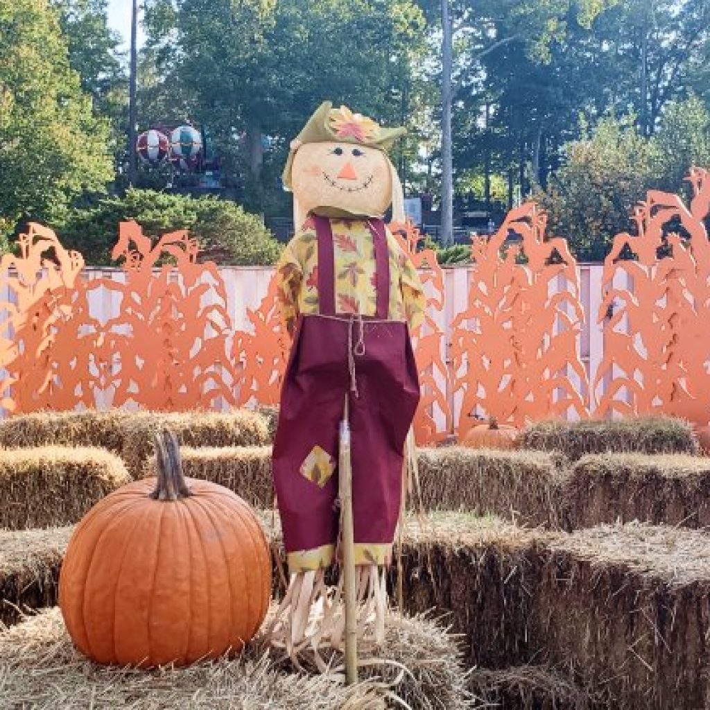 La Ronde – Fête des Citrouilles