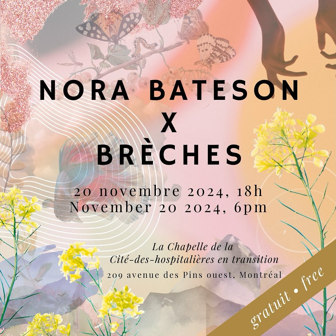 Conférence Nora Bateson x Brèches