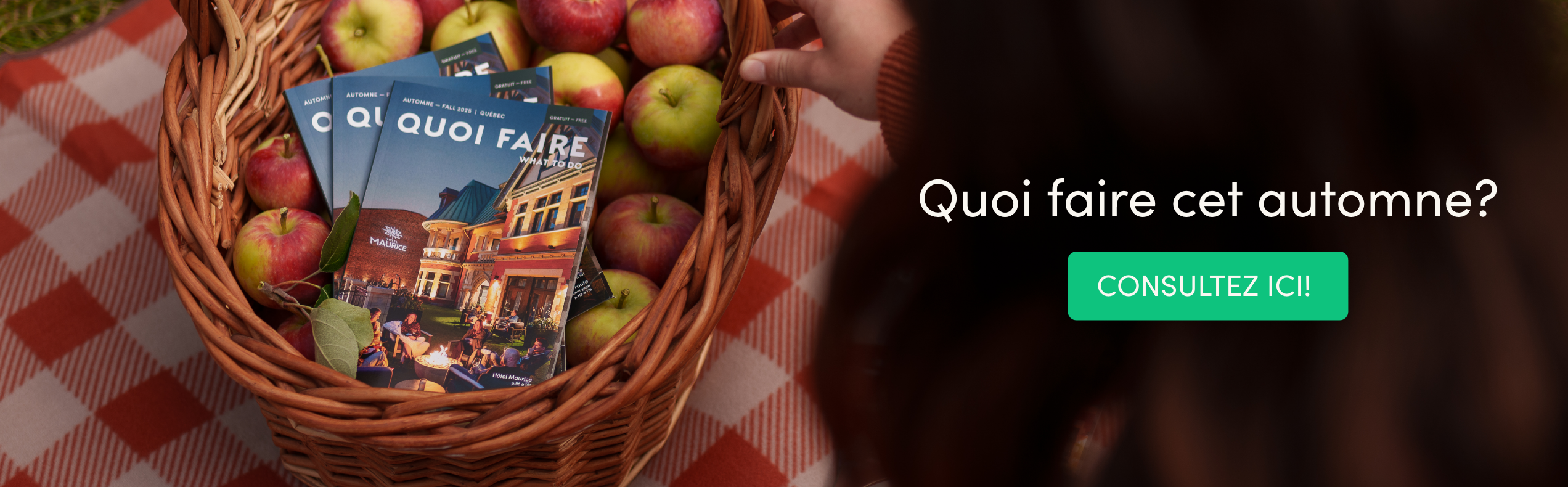 QF - Mega-Entete-A25 - Desktop