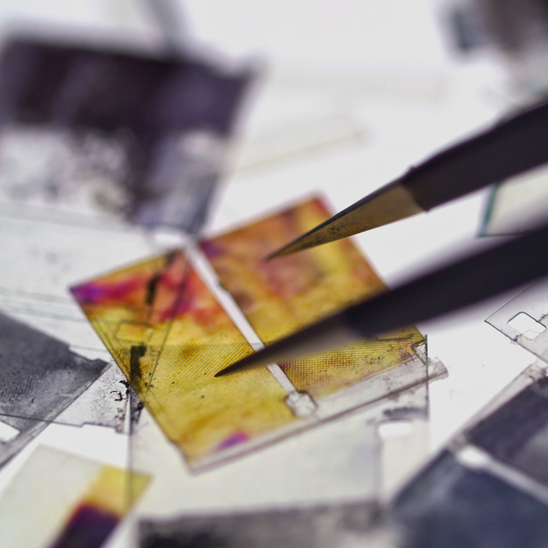 Miles Rufelds. Palais des glaces